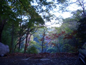 東名側より森林公園を望む