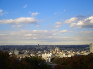 枡形山からの展望