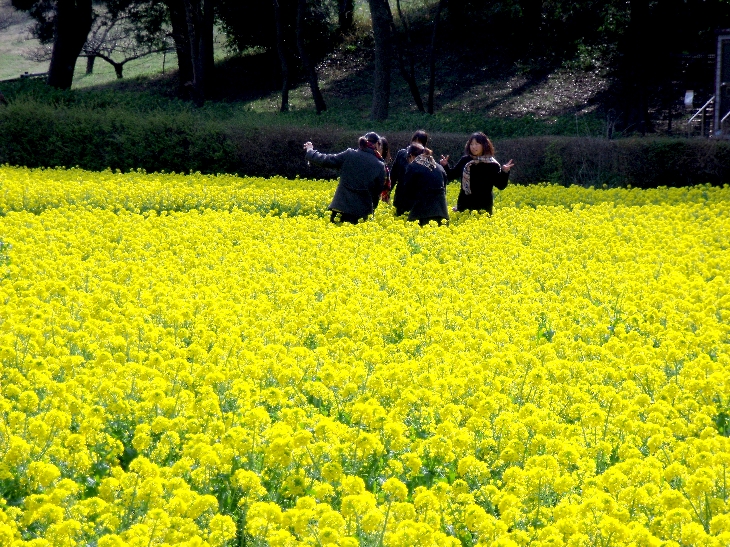追分市民の森にて～女子高生