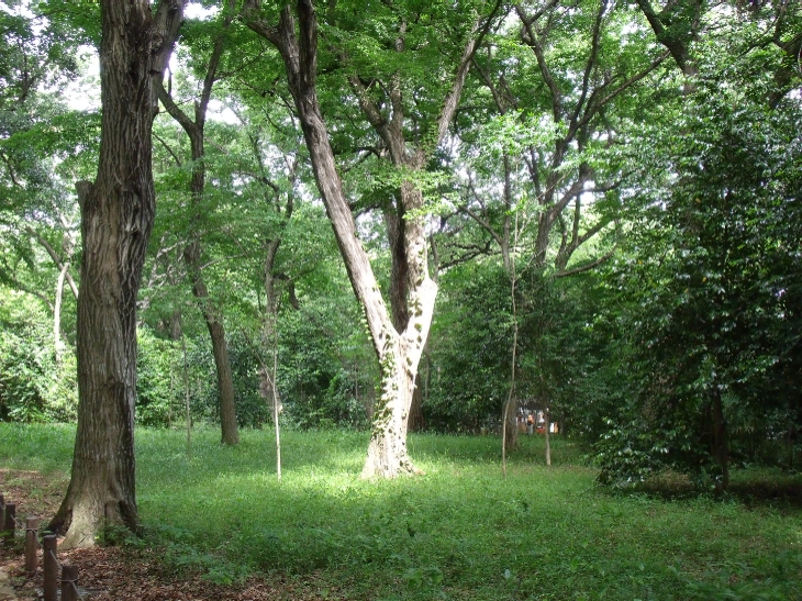神代植物公園にて～その５