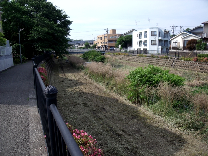 神代植物公園にて～その７