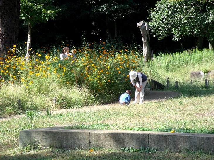 三ッ池公園にて