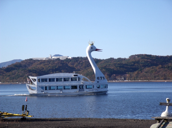 山中湖に白鳥