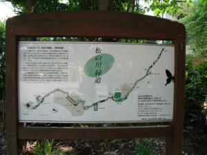 松の川緑道