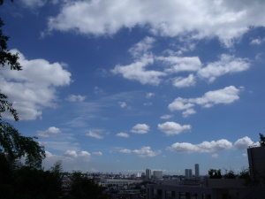 浄元寺墓地から二子玉川方面を望む