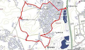今日のお散歩