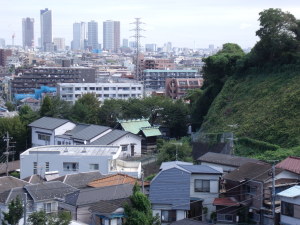 丘の上から東を望む