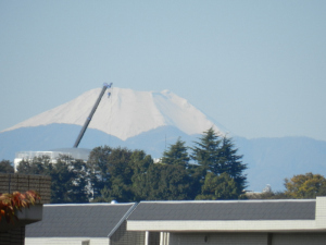 富士山と鶴