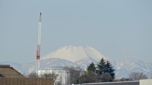 今日の富士山と鶴