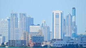 緑が丘霊園から新宿方面を望む