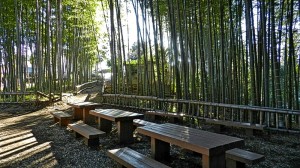 東久留米の竹林公園