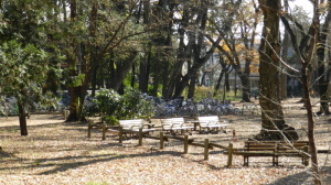 井の頭公園にて～その2