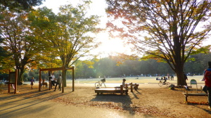 井の頭公園