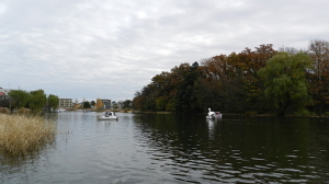 石神井公園