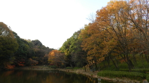 都築中央公園