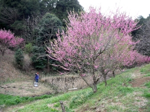 写真を撮る人 写真を撮る人